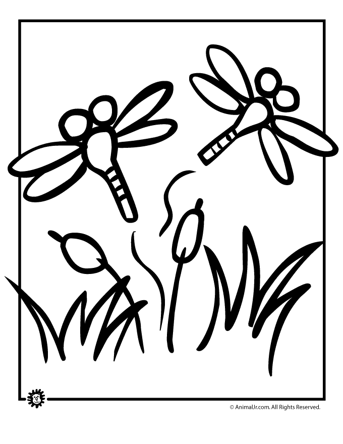 Disegno da colorare: Libellula (Animali) #9988 - Pagine da Colorare Stampabili Gratuite