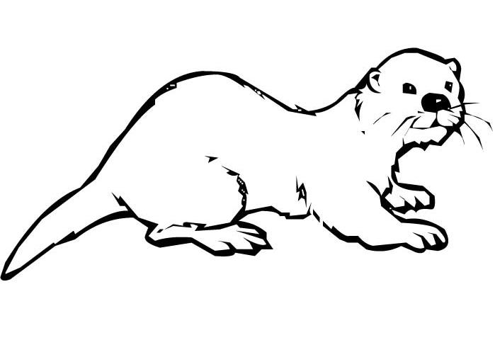 Disegno da colorare: Lontra (Animali) #10639 - Pagine da Colorare Stampabili Gratuite