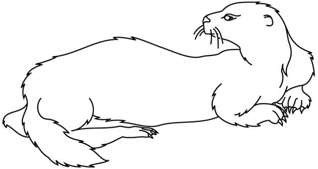 Disegno da colorare: Lontra (Animali) #10641 - Pagine da Colorare Stampabili Gratuite