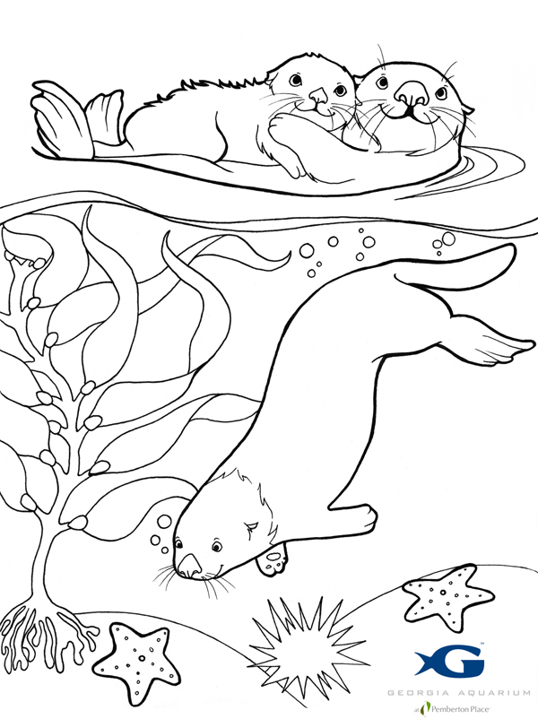 Disegno da colorare: Lontra (Animali) #10645 - Pagine da Colorare Stampabili Gratuite