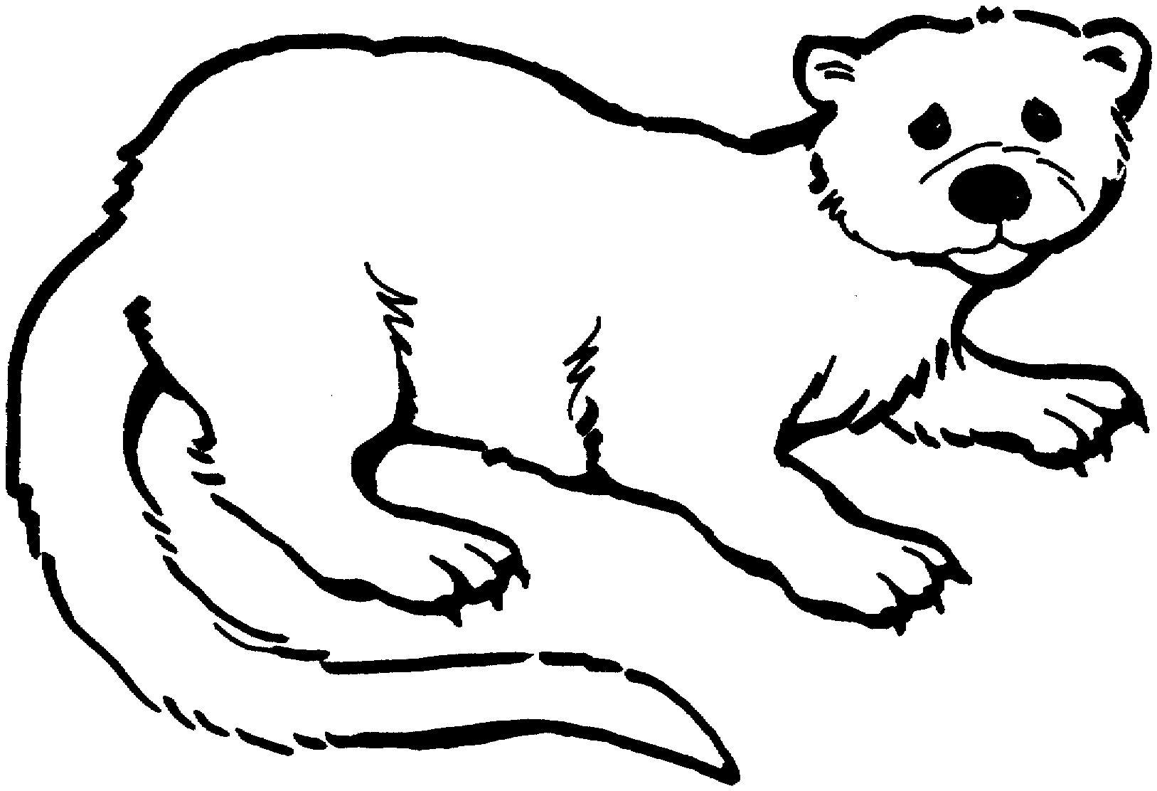 Disegno da colorare: Lontra (Animali) #10653 - Pagine da Colorare Stampabili Gratuite