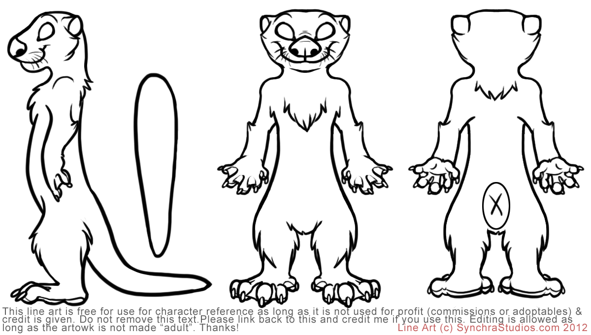 Disegno da colorare: Lontra (Animali) #10736 - Pagine da Colorare Stampabili Gratuite