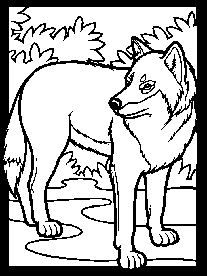 Disegno da colorare: Lupo (Animali) #10440 - Pagine da Colorare Stampabili Gratuite