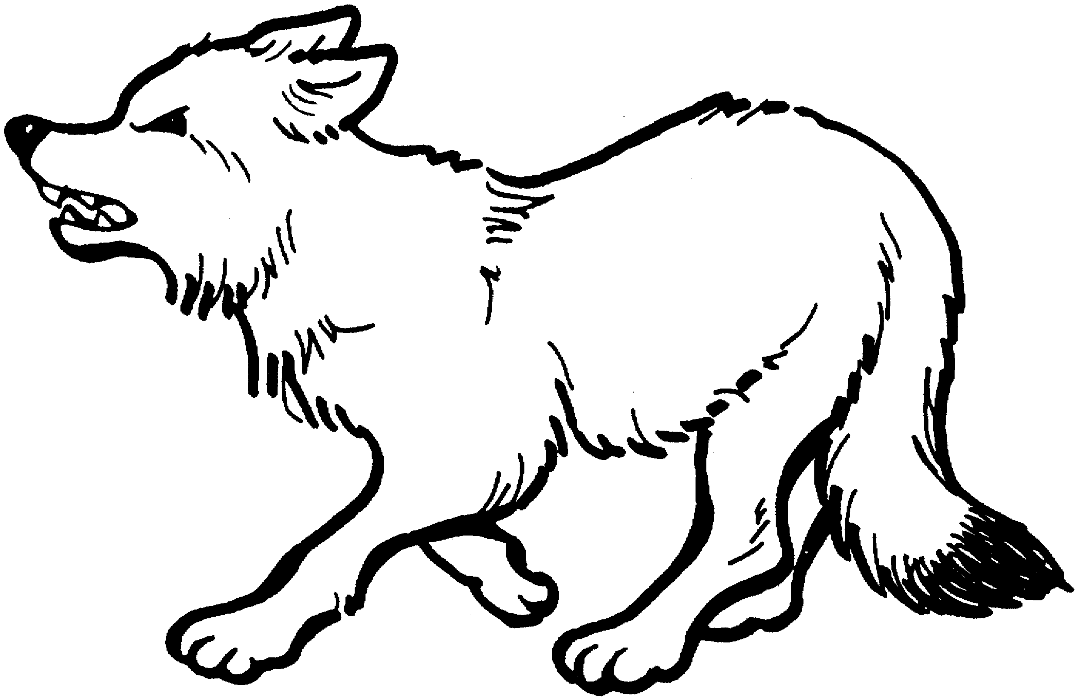 Disegno da colorare: Lupo (Animali) #10475 - Pagine da Colorare Stampabili Gratuite