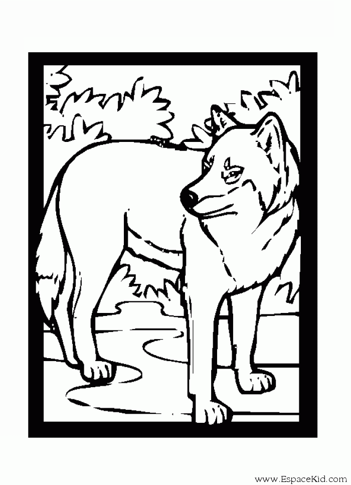 Disegno da colorare: Lupo (Animali) #10603 - Pagine da Colorare Stampabili Gratuite