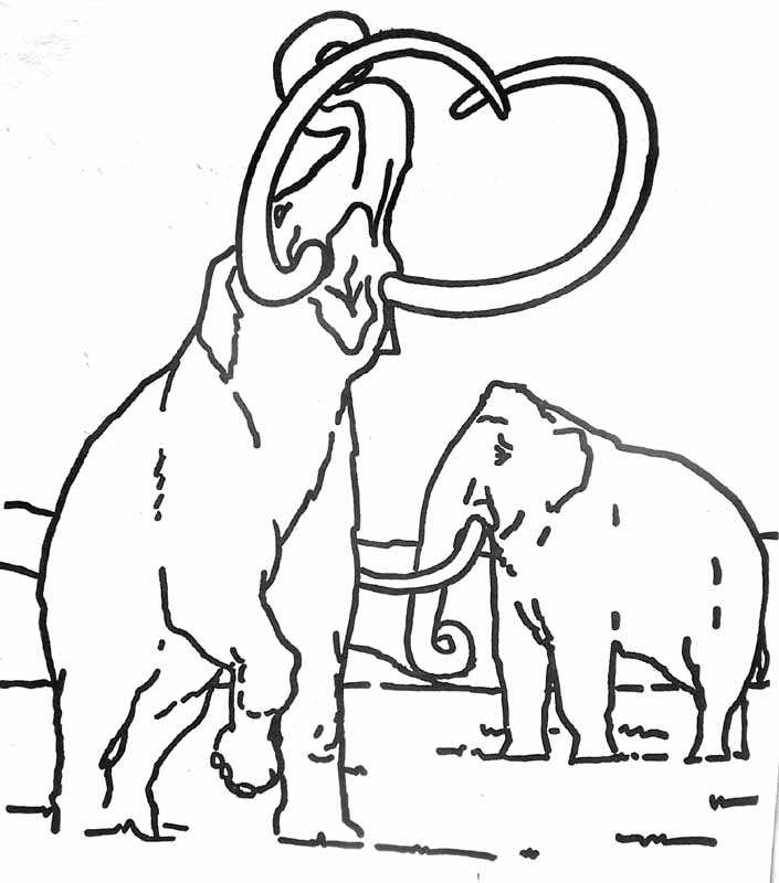 Disegno da colorare: Mammut (Animali) #19198 - Pagine da Colorare Stampabili Gratuite