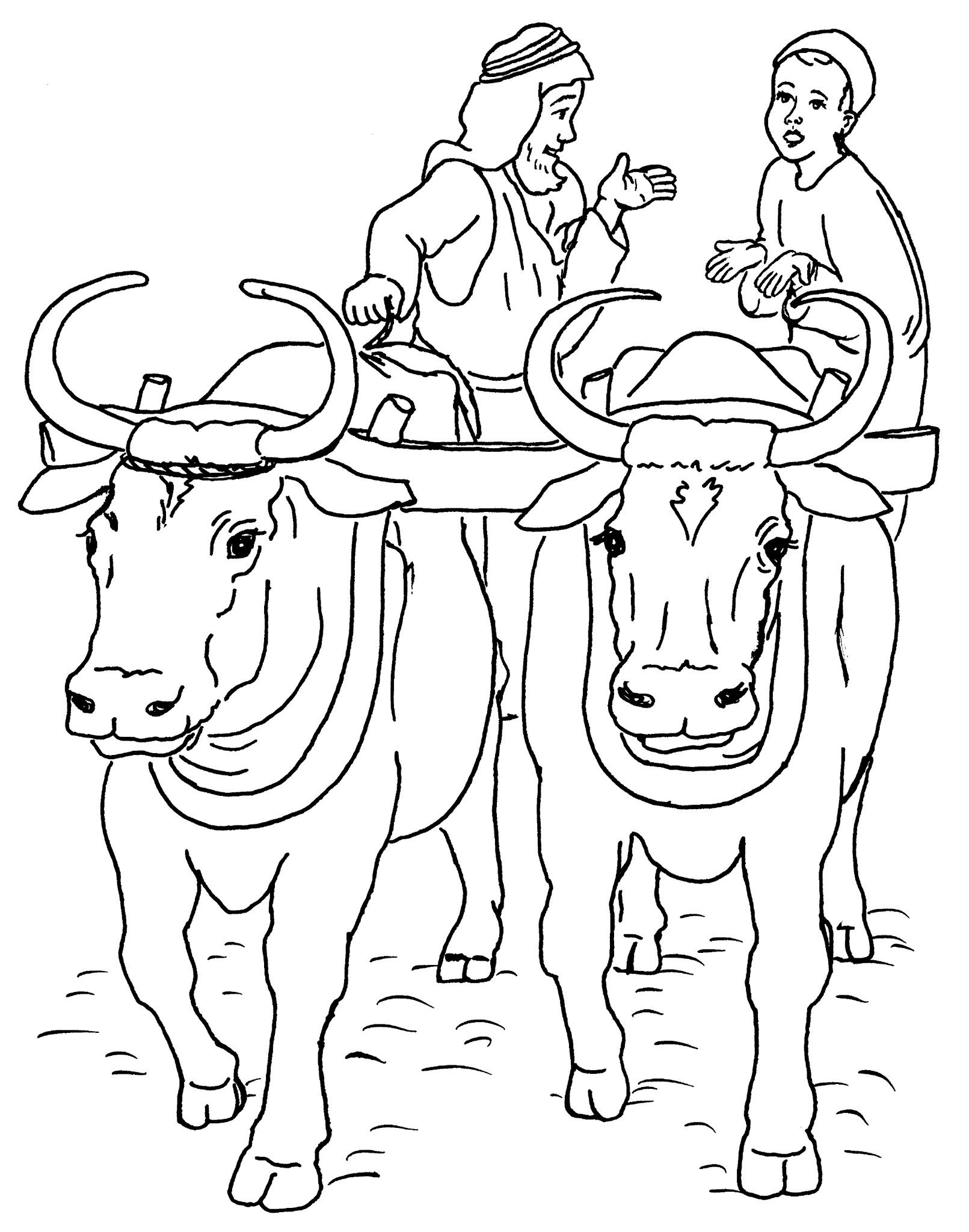 Disegno da colorare: Manzo (Animali) #1356 - Pagine da Colorare Stampabili Gratuite