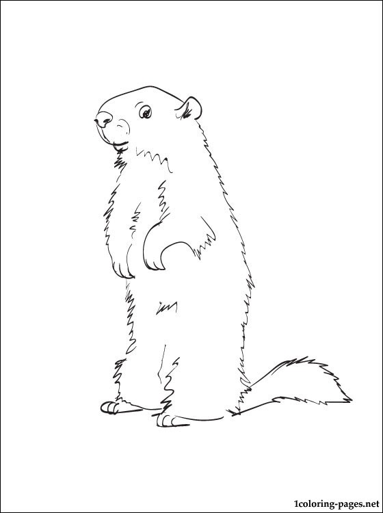 Disegno da colorare: Marmotta (Animali) #10953 - Pagine da Colorare Stampabili Gratuite