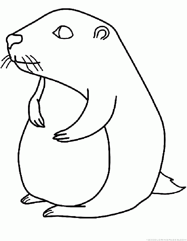 Disegno da colorare: Marmotta (Animali) #10958 - Pagine da Colorare Stampabili Gratuite