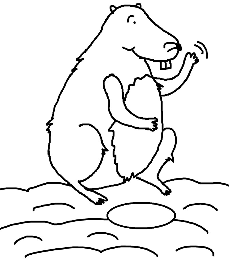 Disegno da colorare: Marmotta (Animali) #10968 - Pagine da Colorare Stampabili Gratuite
