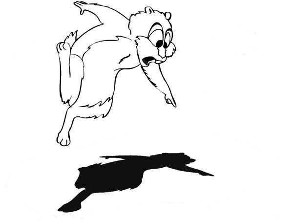 Disegno da colorare: Marmotta (Animali) #10995 - Pagine da Colorare Stampabili Gratuite