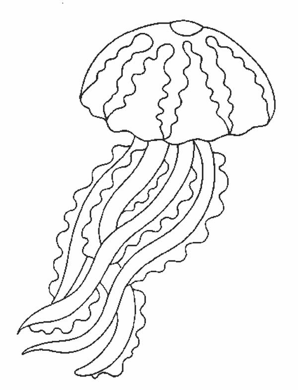 Disegno da colorare: Medusa (Animali) #20380 - Pagine da Colorare Stampabili Gratuite