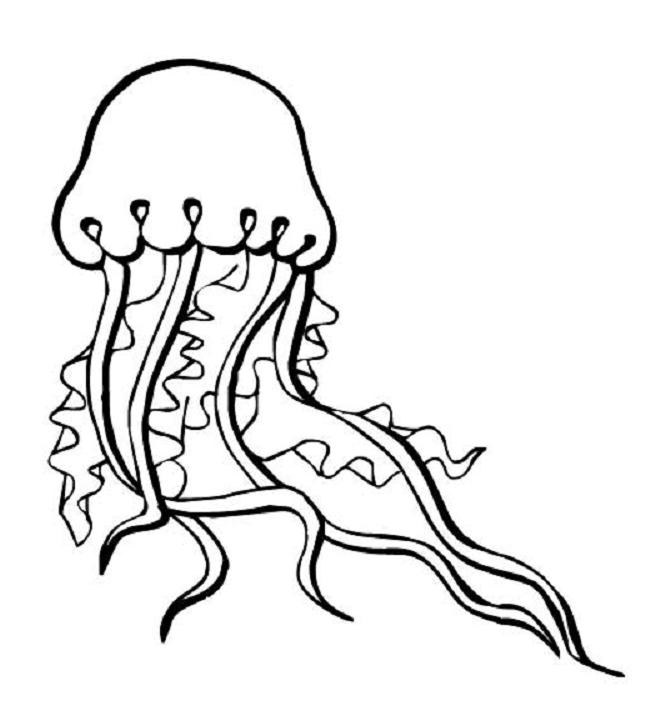 Disegno da colorare: Medusa (Animali) #20381 - Pagine da Colorare Stampabili Gratuite