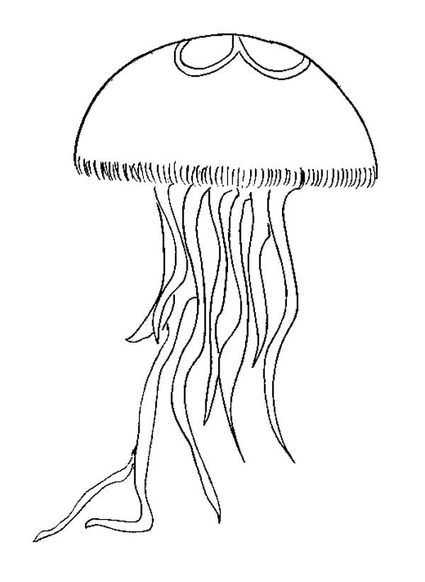 Disegno da colorare: Medusa (Animali) #20399 - Pagine da Colorare Stampabili Gratuite