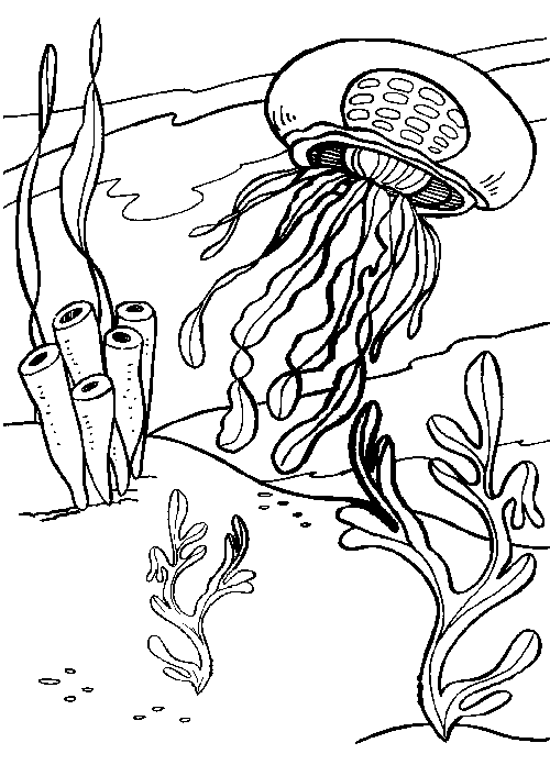 Disegno da colorare: Medusa (Animali) #20407 - Pagine da Colorare Stampabili Gratuite