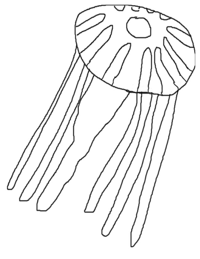 Disegno da colorare: Medusa (Animali) #20409 - Pagine da Colorare Stampabili Gratuite