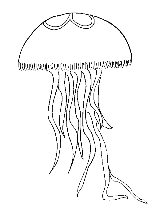 Disegno da colorare: Medusa (Animali) #20416 - Pagine da Colorare Stampabili Gratuite
