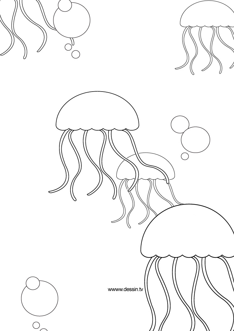 Disegno da colorare: Medusa (Animali) #20481 - Pagine da Colorare Stampabili Gratuite