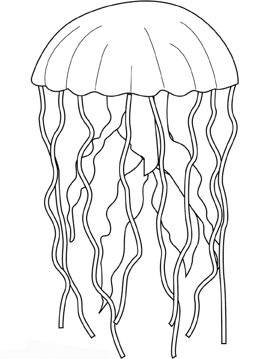 Disegno da colorare: Medusa (Animali) #20483 - Pagine da Colorare Stampabili Gratuite