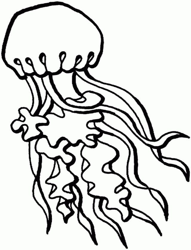 Disegno da colorare: Medusa (Animali) #20510 - Pagine da Colorare Stampabili Gratuite