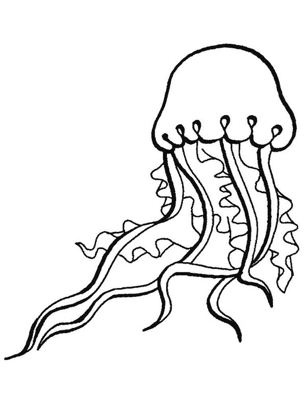 Disegno da colorare: Medusa (Animali) #20511 - Pagine da Colorare Stampabili Gratuite