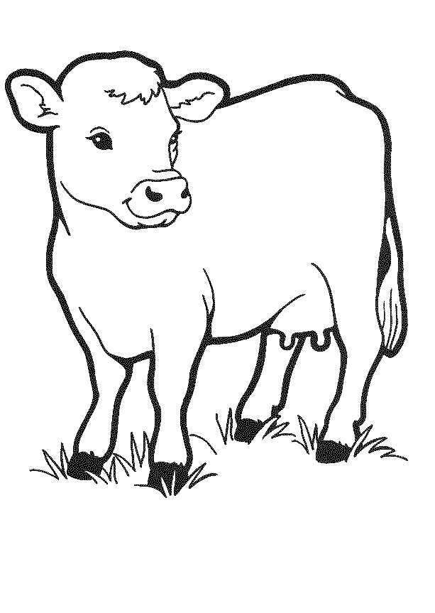 Disegno da colorare: Mucca (Animali) #13189 - Pagine da Colorare Stampabili Gratuite