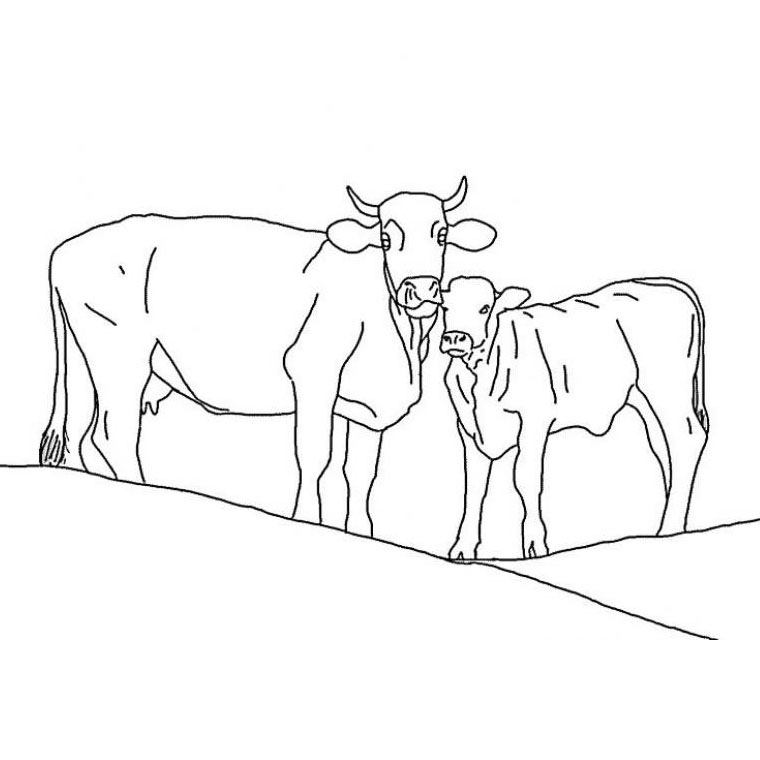 Disegno da colorare: Mucca (Animali) #13194 - Pagine da Colorare Stampabili Gratuite
