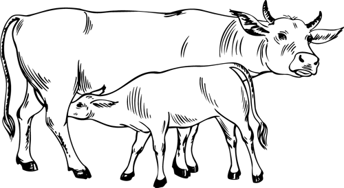 Disegno da colorare: Mucca (Animali) #13210 - Pagine da Colorare Stampabili Gratuite