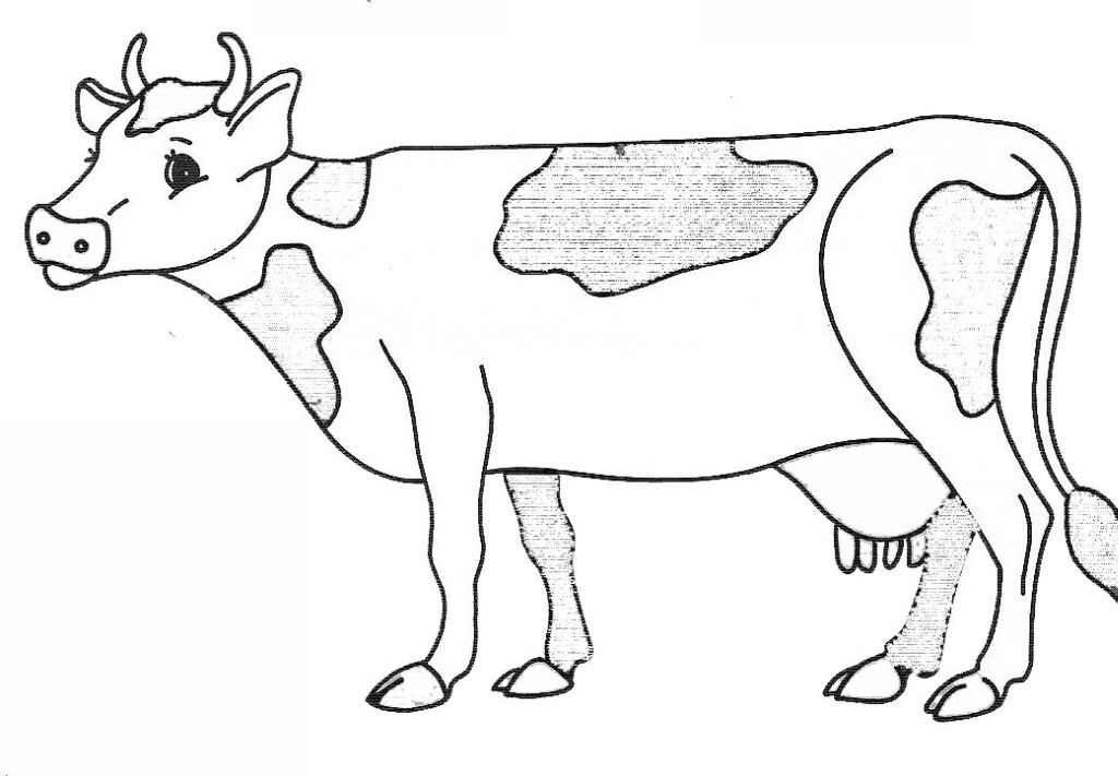 Disegno da colorare: Mucca (Animali) #13227 - Pagine da Colorare Stampabili Gratuite
