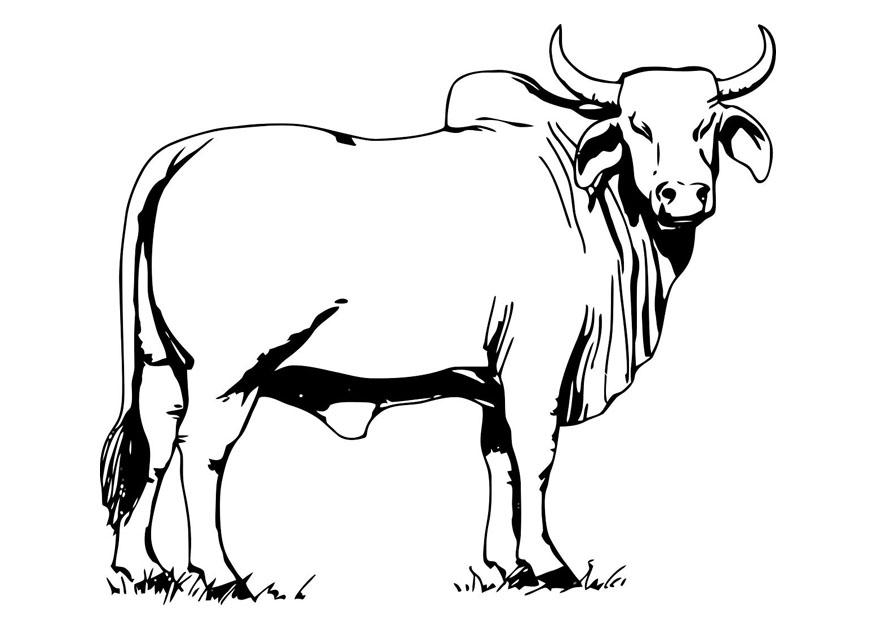 Disegno da colorare: Mucca (Animali) #13260 - Pagine da Colorare Stampabili Gratuite