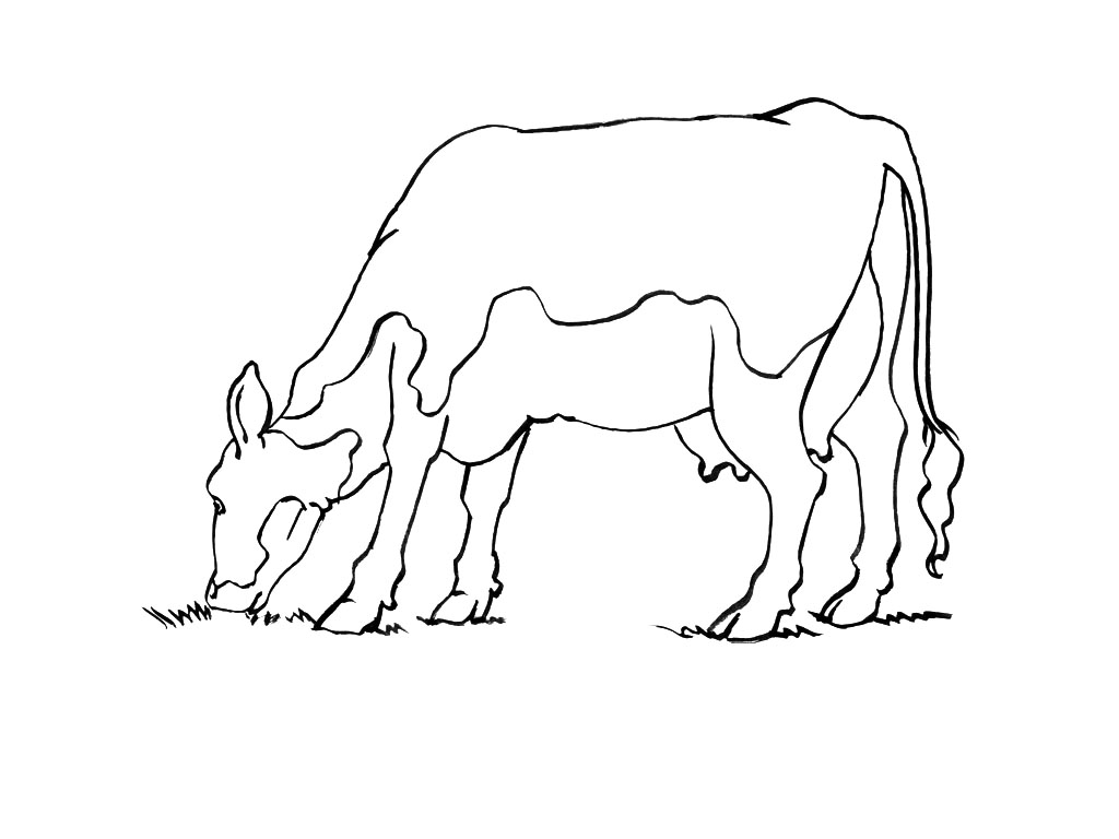 Disegno da colorare: Mucca (Animali) #13347 - Pagine da Colorare Stampabili Gratuite