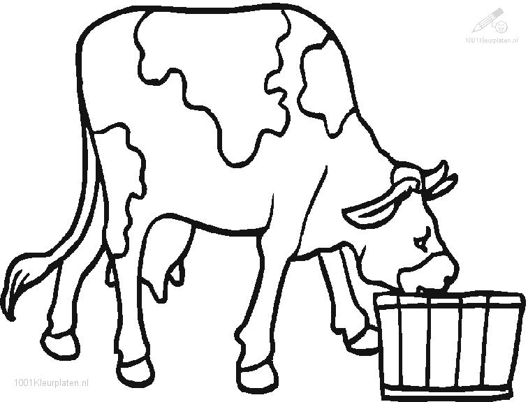 Disegno da colorare: Mucca (Animali) #13352 - Pagine da Colorare Stampabili Gratuite