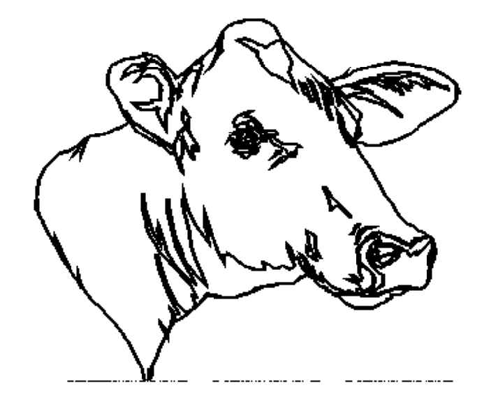 Disegno da colorare: Mucca (Animali) #13380 - Pagine da Colorare Stampabili Gratuite