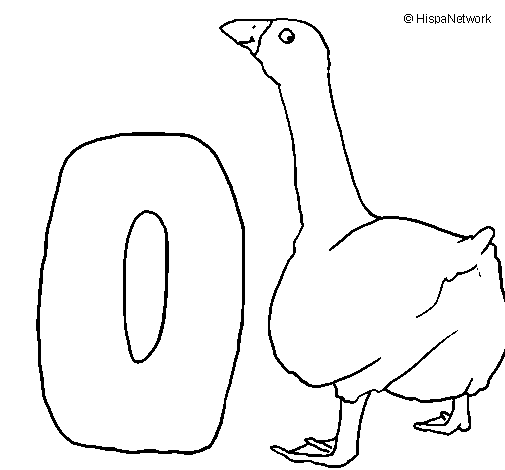 Disegno da colorare: Oca (Animali) #11668 - Pagine da Colorare Stampabili Gratuite