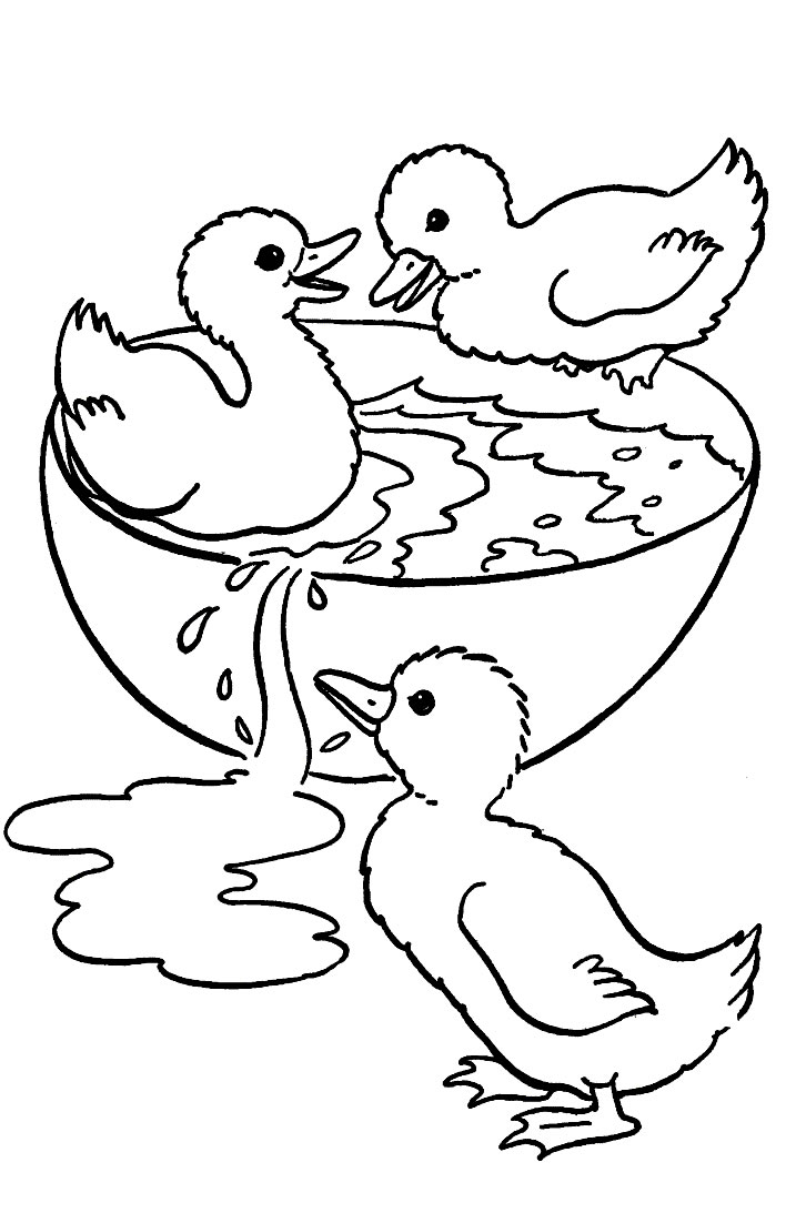 Disegno da colorare: Oca (Animali) #11713 - Pagine da Colorare Stampabili Gratuite