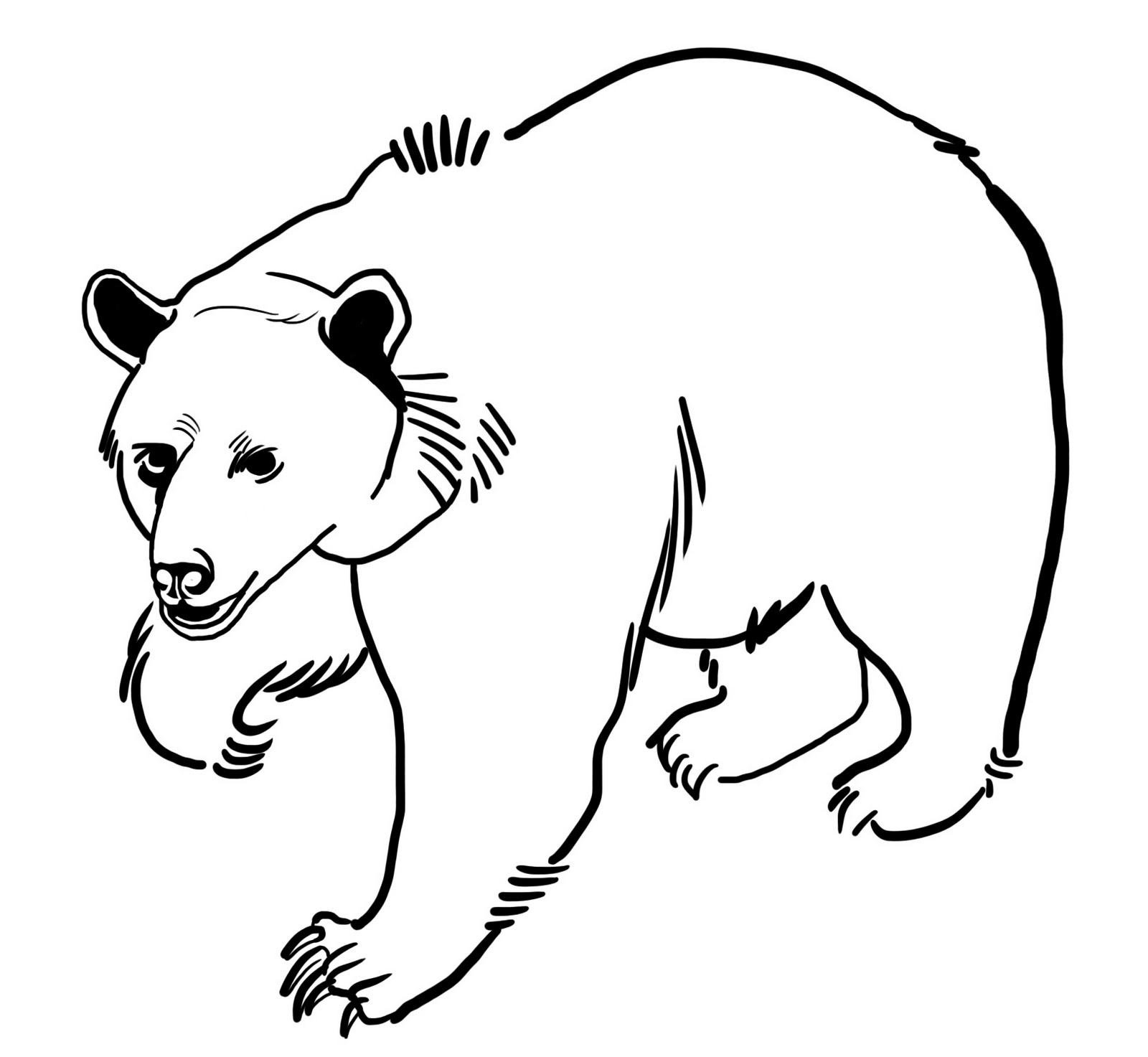 Disegno da colorare: Orso (Animali) #12240 - Pagine da Colorare Stampabili Gratuite