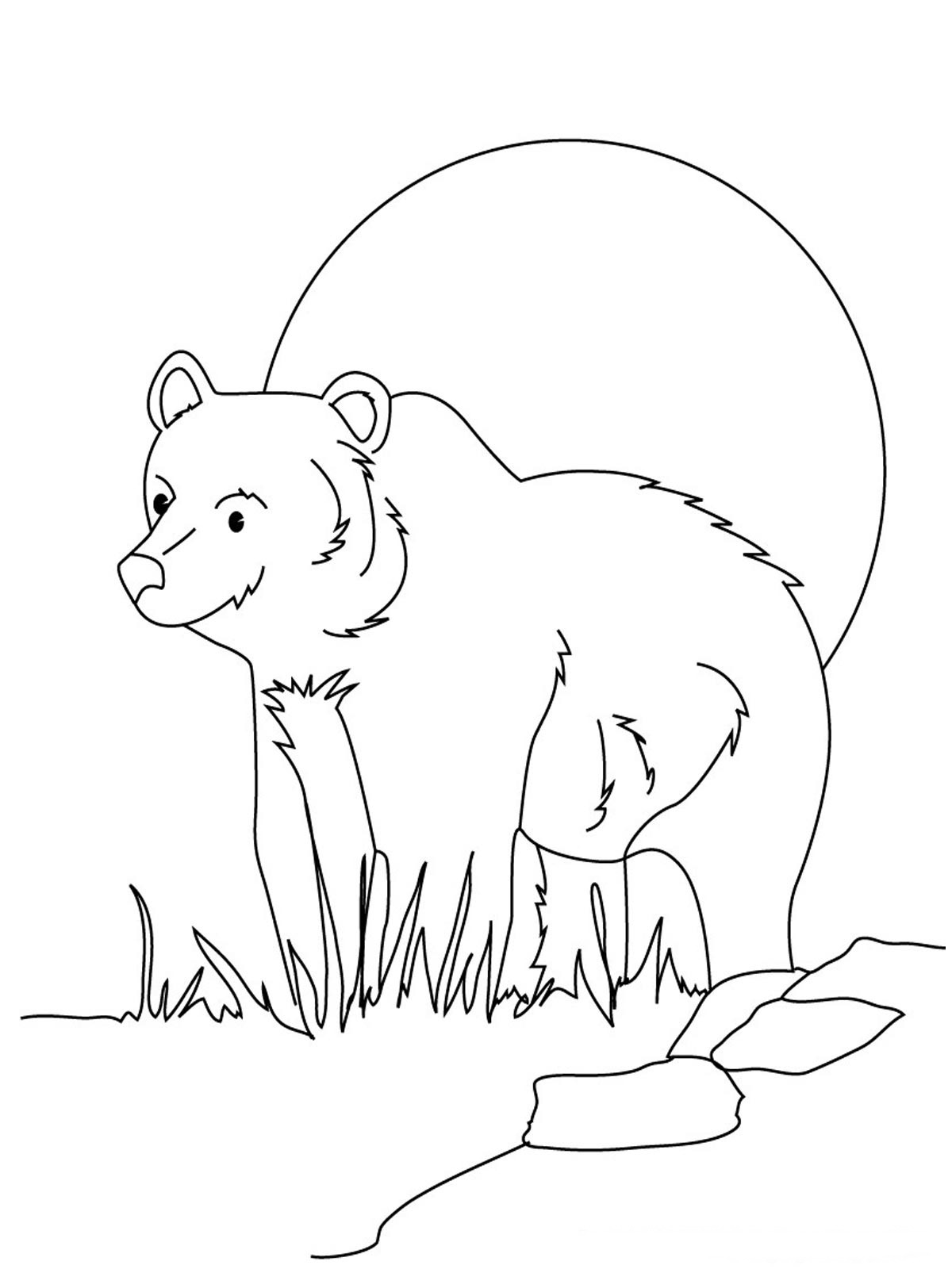 Disegno da colorare: Orso (Animali) #12317 - Pagine da Colorare Stampabili Gratuite