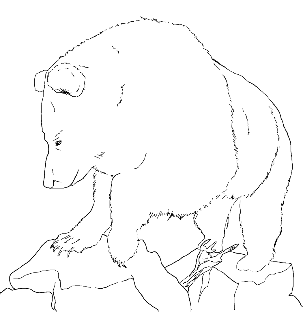 Disegno da colorare: Orso (Animali) #12368 - Pagine da Colorare Stampabili Gratuite