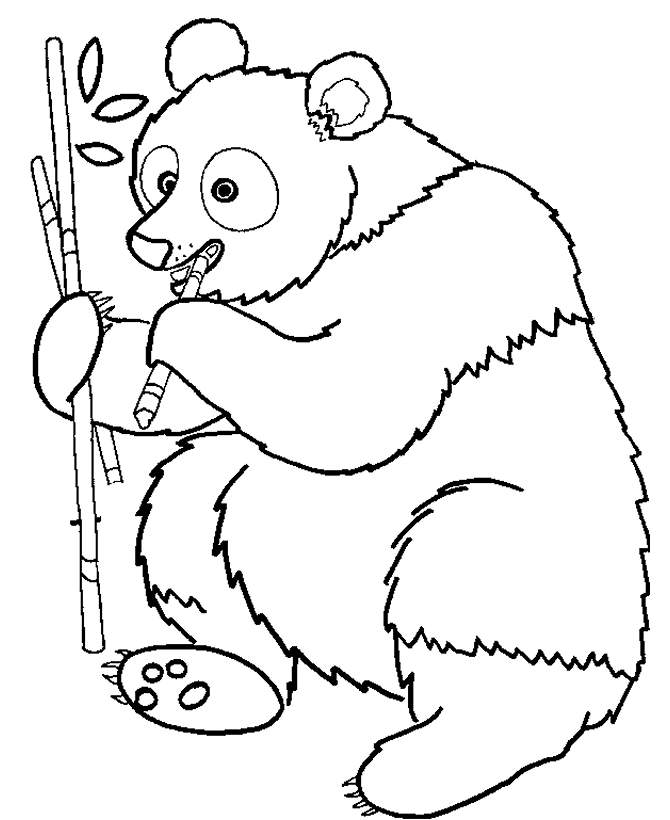 Disegno da colorare: Panda (Animali) #12463 - Pagine da Colorare Stampabili Gratuite