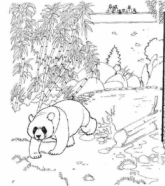 Disegno da colorare: Panda (Animali) #12486 - Pagine da Colorare Stampabili Gratuite