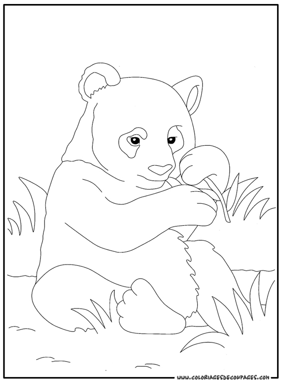 Disegno da colorare: Panda (Animali) #12488 - Pagine da Colorare Stampabili Gratuite