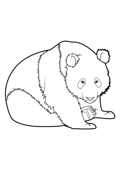 Disegno da colorare: Panda (Animali) #12509 - Pagine da Colorare Stampabili Gratuite