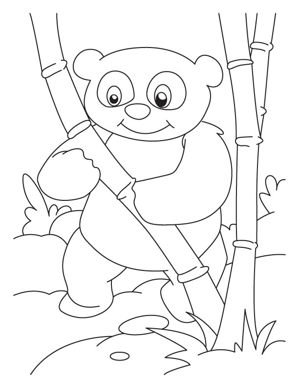 Disegno da colorare: Panda (Animali) #12550 - Pagine da Colorare Stampabili Gratuite