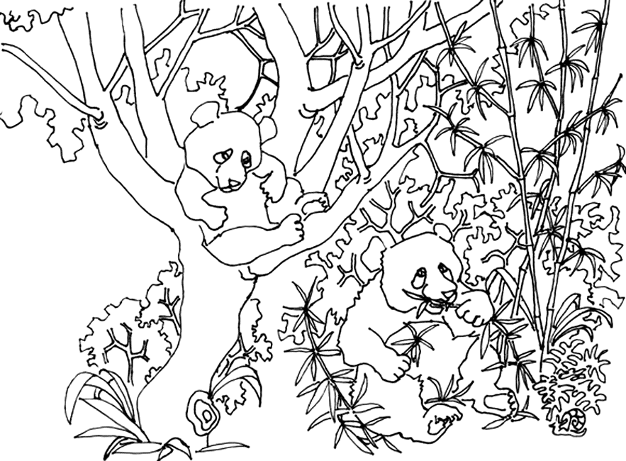 Disegno da colorare: Panda (Animali) #12603 - Pagine da Colorare Stampabili Gratuite