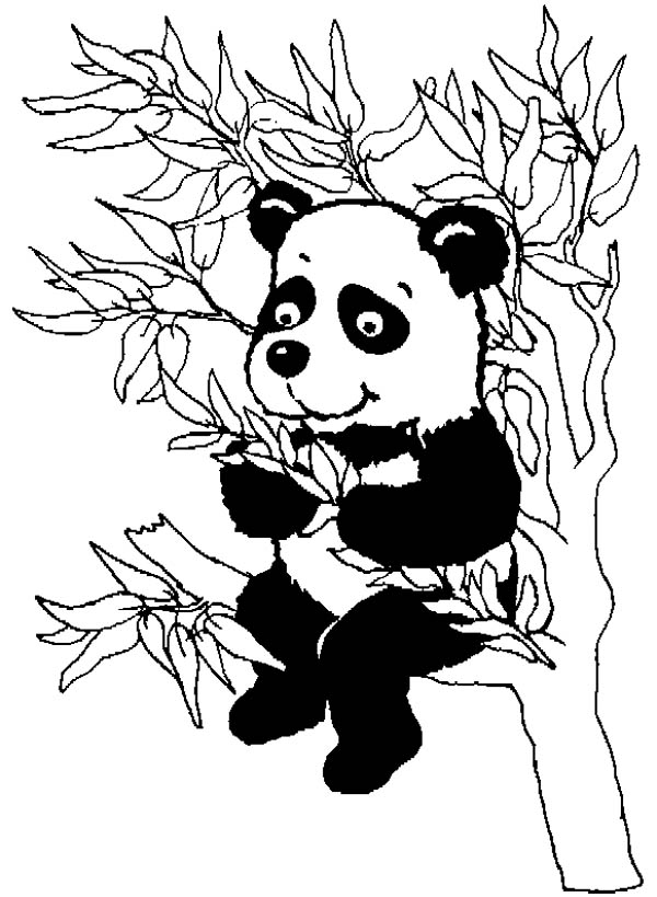 Disegno da colorare: Panda (Animali) #12610 - Pagine da Colorare Stampabili Gratuite