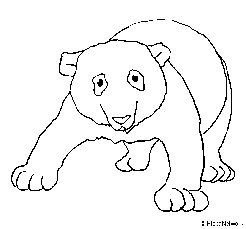 Disegno da colorare: Panda (Animali) #12621 - Pagine da Colorare Stampabili Gratuite