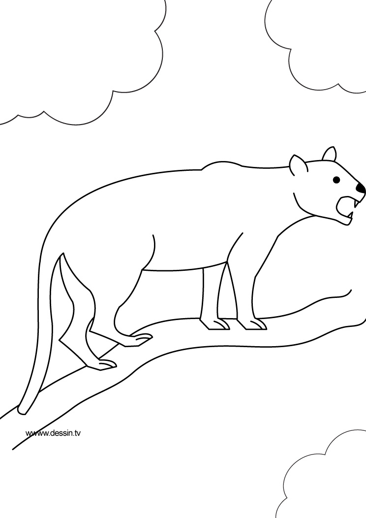 Disegno da colorare: Pantera (Animali) #15525 - Pagine da Colorare Stampabili Gratuite