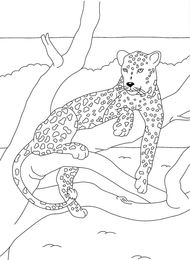 Disegno da colorare: Pantera (Animali) #15557 - Pagine da Colorare Stampabili Gratuite