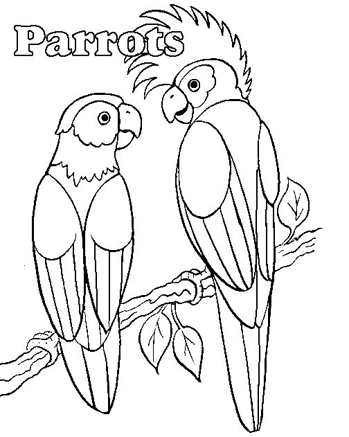 Disegno da colorare: Pappagallo (Animali) #16068 - Pagine da Colorare Stampabili Gratuite