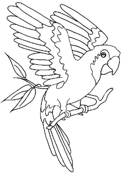 Disegno da colorare: Pappagallo (Animali) #16072 - Pagine da Colorare Stampabili Gratuite